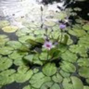 Meet your Posher, Lorena